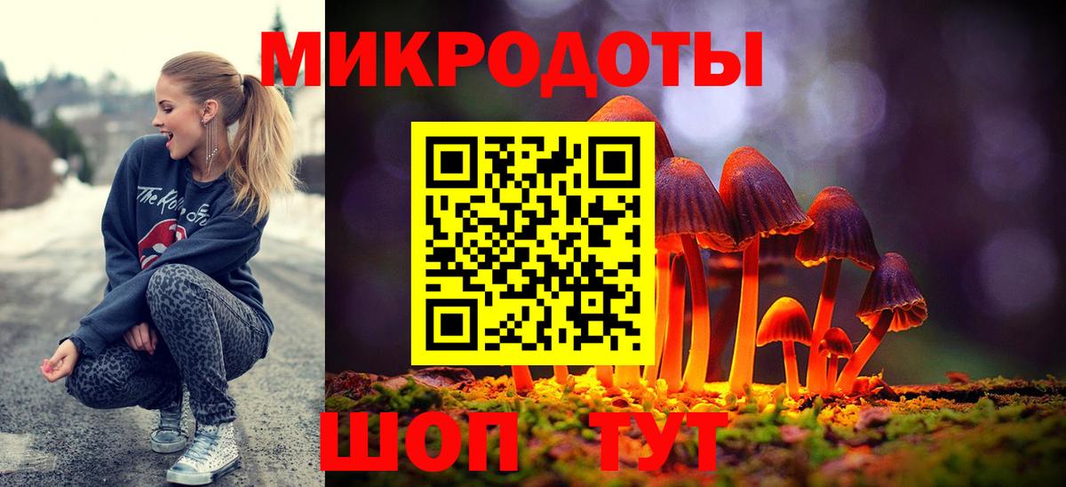 Троицк  Псилоцибиновые грибы мухоморы  цены   Вход с VPN 